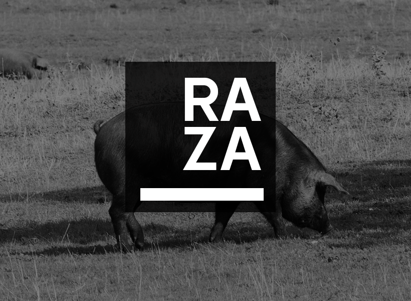 Raza